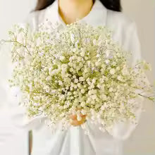 40-50cm Natural Fresh Dried Gypsophila paniculata Flowers, Baby Breath Bouquets, Wedding Gift and Decoration, Home Decor